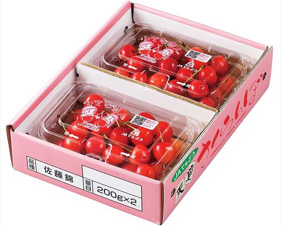 【予約販売】ハウスさくらんぼ『佐藤錦』(秀品・M玉)フードパック 200g×2 a16 ※出荷時期4月下旬~5月上旬
