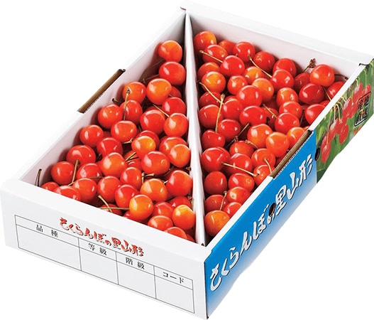 【予約販売】ご自宅用 佐藤錦 斜めバラ詰 (○秀・M) 1kg c01 ※出荷時期6月下旬