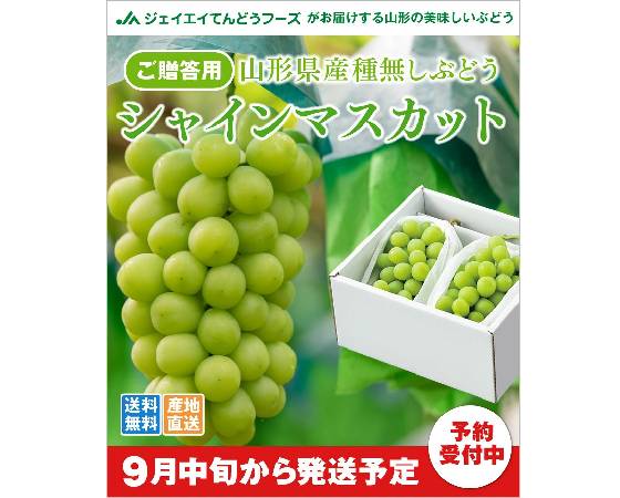 【予約】シャインマスカット 約700g×2房 ※出荷時期:9月中旬~10月上旬