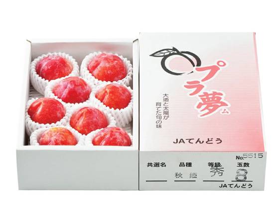 【予約】プラム(秋姫)約1.2kg 6~12玉 ※出荷時期:9月上旬~9月中旬