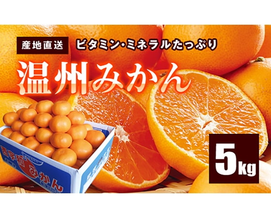 温州みかん 約5㎏