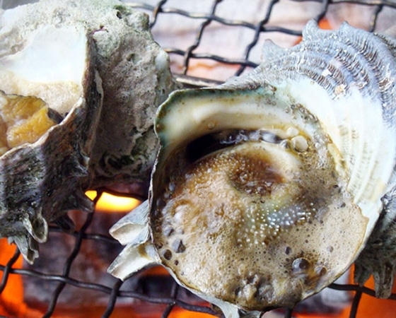 長崎産天然サザエ(大)1.1kg