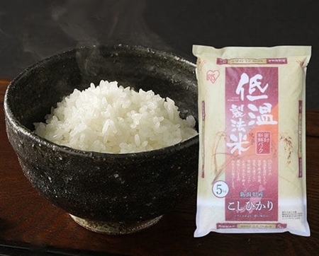低温製法米 新潟県産こしひかり 5kg×4 令和7年産