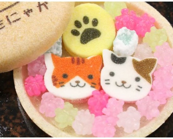 京都の半生菓子 上尾製菓のねこもにゃか 1箱