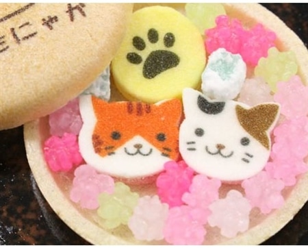 京都の半生菓子 上尾製菓のねこもにゃか 3箱