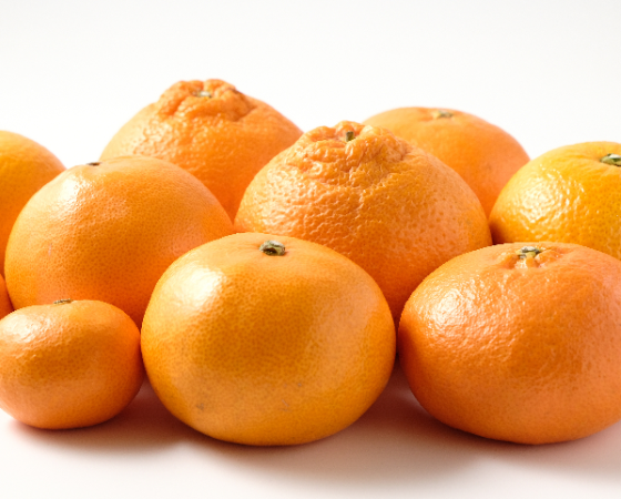 【予約】バラエティかんきつ詰め合わせ 約2.5kg(12~20玉) ※出荷時期:1月下旬~3月下旬