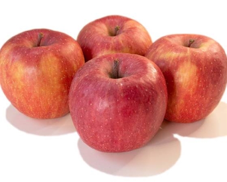 葉とらずコスモふじ りんご・家庭用(3kg・6~11玉)【いっちゃん林檎農園】