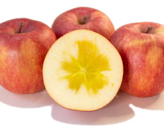 葉とらずコスモふじ りんご・家庭用(3kg・6~11玉)【いっちゃん林檎農園】