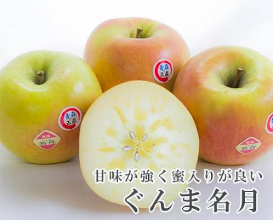 【予約】ぐんま名月 りんご・家庭用A(3kg・6~11玉)【いっちゃん林檎農園】