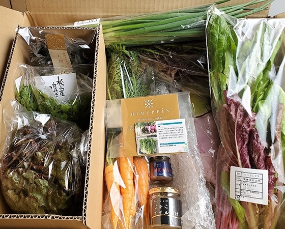 国産アンチョビ&松山市産オーガニック野菜詰め合わせ