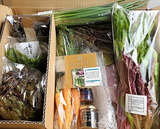 国産アンチョビ&松山市産オーガニック野菜詰め合わせ