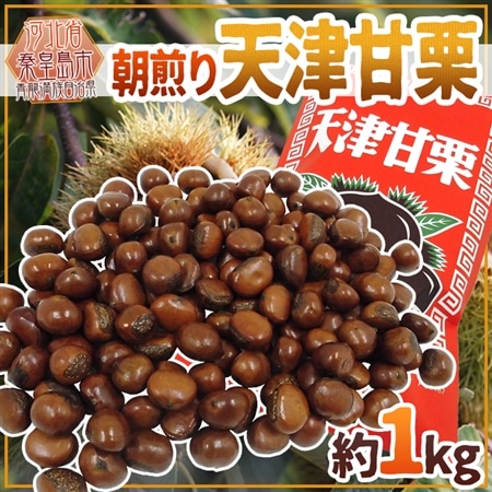 【予約販売】焼きたて・炒りたてを当日発送! ”天津甘栗” 約1kg こだわり産地※10月下旬よりお届け予定前後する場合がございます。