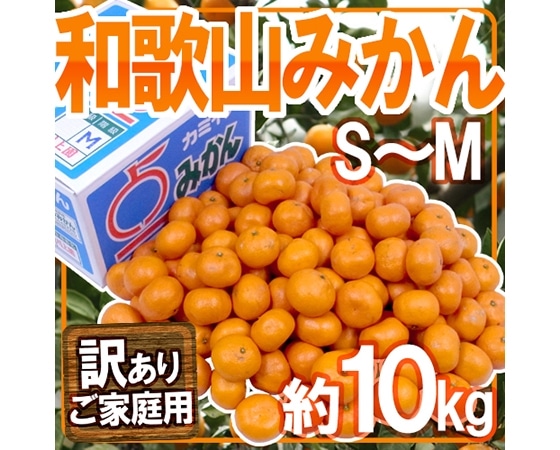 【送料無料】和歌山みかん 訳あり S~Mサイズ 約10kg【予約 11月末以降】