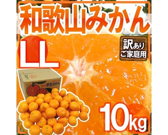 【送料無料】和歌山みかん 訳あり LLサイズ 約10kg【予約 11月末以降】
