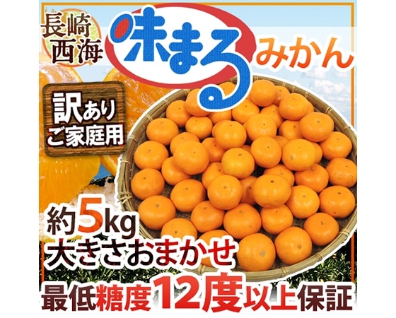 【送料無料】長崎産 西海 ”味まるみかん” 訳あり 約5kg 大きさおまかせ 【予約 11月末以降】
