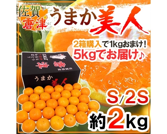 【送料無料】佐賀県 JAからつ ”うまか美人みかん” S/2Sサイズ 約2kg【予約 11月末以降】