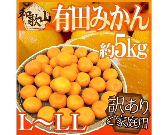 【送料無料】和歌山産 有田みかん 訳あり L~LLサイズ 約5kg ありだみかん【予約 11月末以降】
