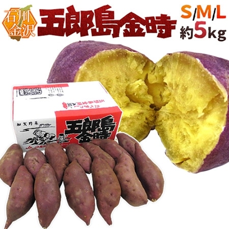 【送料無料】石川県 加賀野菜 ”五郎島金時” S/M/Lサイズ 約5kg さつまいも