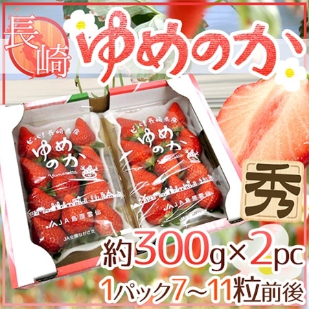 長崎産イチゴ ”ゆめのかいちご” 約300g×2pc 大粒1パック7~11粒前後【予約 12月~4月出荷】