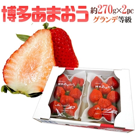 福岡産 博多 ”あまおういちご” 等級G(グランデ) 1箱 2パック入り(1パック約270g)【予約 12月~4月】