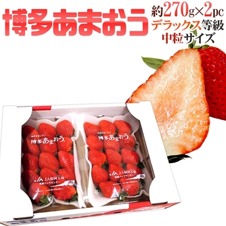 福岡産 博多 ”あまおういちご” 中粒 等級DX(デラックス) 1箱 2パック入り(1パック15粒前後/約270g)【予約 12月~4月】