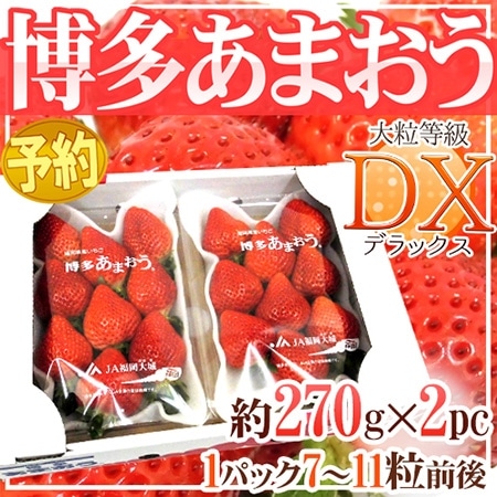 福岡産 博多 ”あまおういちご” 等級DX(デラックス) 1箱 2パック入り(1パック約270g)【予約 12月~4月】