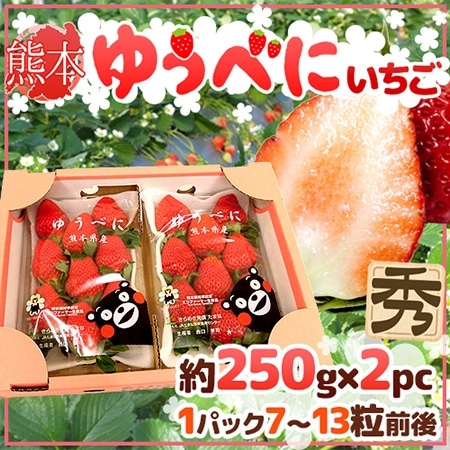 【送料無料】熊本県 ”ゆうべにいちご(熊紅いちご)” 秀品 2パック入り(1パック 7~13粒 約250g)×《1箱》【予約 11月下旬以降】