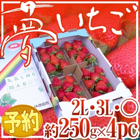 徳島県勝占産 ”夢いちご” 2Lor3Lor大粒○ 約250g×4pc【予約 12月~4月】