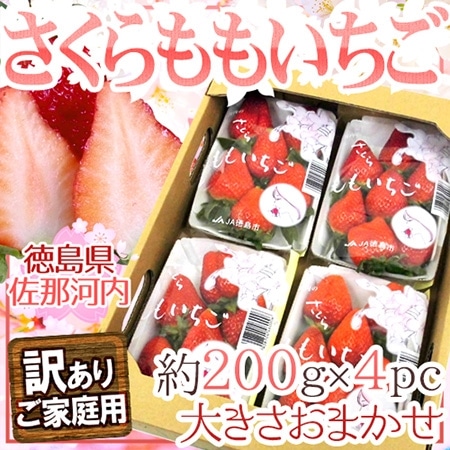 徳島県佐那河内村 ”さくらももいちご” 訳あり 約200g×4pc ワケ待ち【予約 12月~4月】