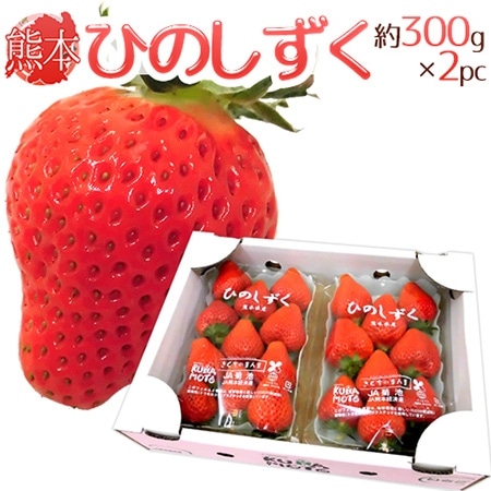 熊本県 ”ひのしずくいちご” 秀品 2パック入り(1パック 7~13粒 約300g)×《1箱》【予約 12月~3月】