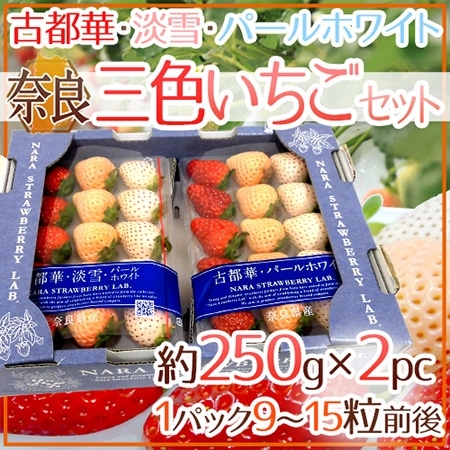 奈良県産 ”三色いちごセット” 2pc(1pcあたり9~15粒前後 約250g)古都華・淡雪・パールホワイト【予約 12月以降】