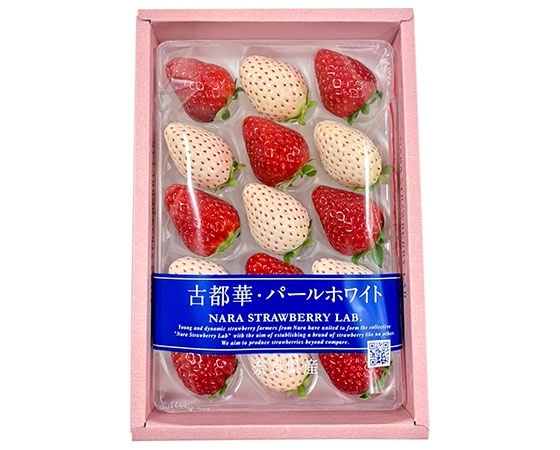 【ギフト】奈良県産 紅白いちご(古都華・パールホワイト) 1パック入り