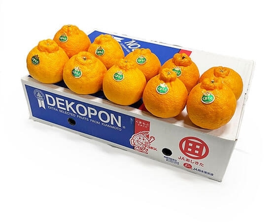 【ご自宅用】愛媛県産他 デコポン 9~10入 約2.5キロ