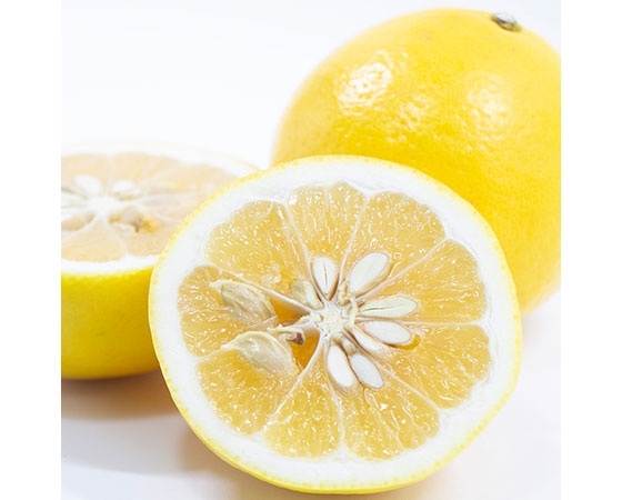 【ギフト】宮崎県産 日向夏 1袋(3個~4個) 約500g