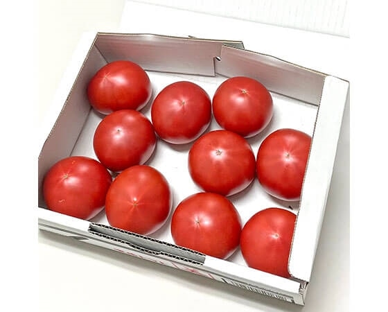 【ご自宅用】愛知県産 美フルーツトマト 1箱 約700g 7~15個