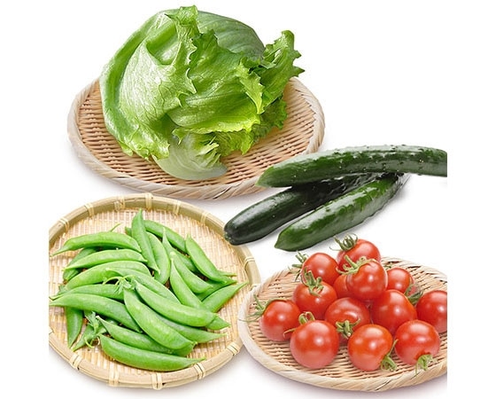 【ギフト】スナップエンドウの入ったサラダ野菜4種セット