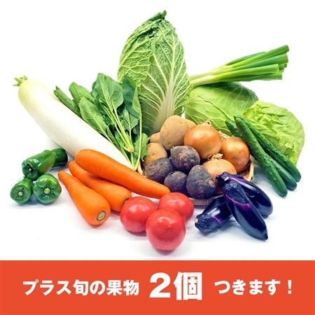 【厳選グルメ定期便】14品目のお野菜セット