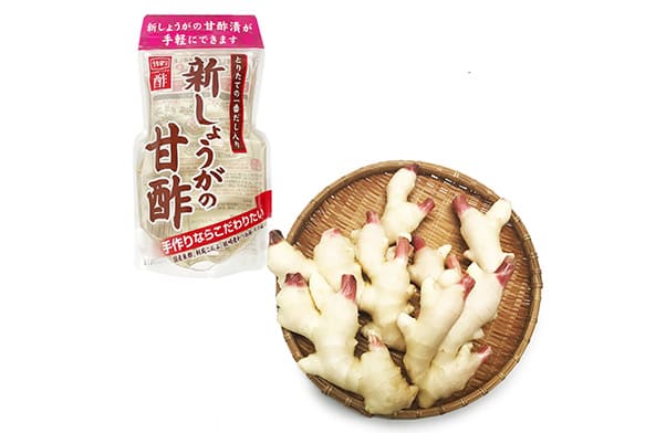 新しょうがの甘酢漬け作成セット(高知県産新しょうが約500g、新しょうがの甘酢1袋)