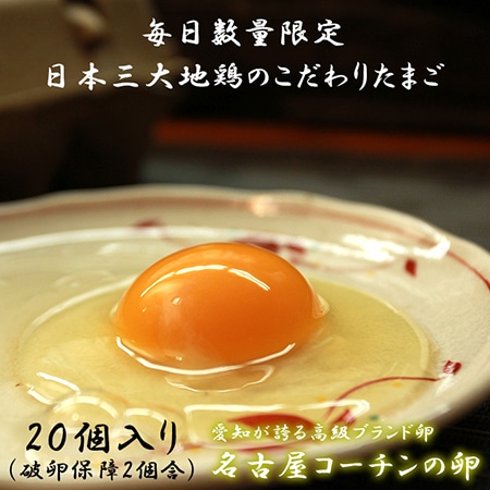 愛知が誇るブランド卵 名古屋コーチンの卵【20個入り(破卵保障2個含む)】