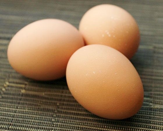 愛知が誇るブランド卵　名古屋コーチンの卵【20個入り(破卵保障2個含む)】