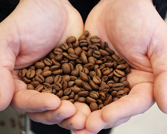 【LEAVES COFFEE×PREMIUM MALL】コーヒー豆 250g