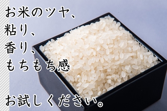 【令和二年産】千葉県産あきたこまち 5kg お届け:10月上旬~