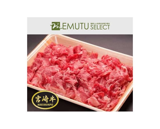 宮崎牛切落し 500g