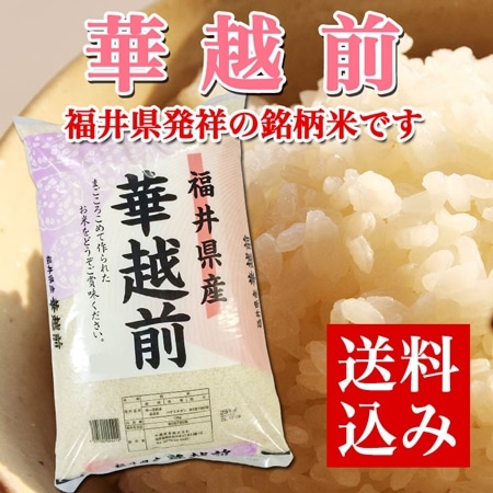 福井県産華越前 10kg(30年産)