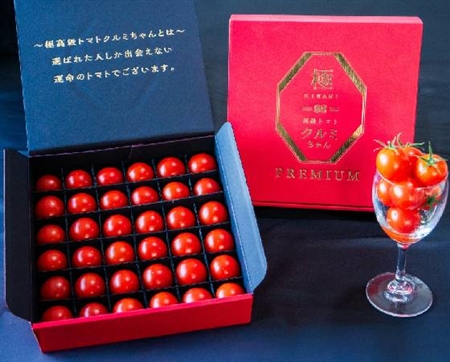 【ギフト】極高級とまとクルミちゃん 赤箱プレミアム 1kg