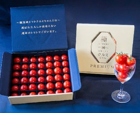 【ギフト】極高級とまとクルミちゃん 白箱プレミアム 1kg