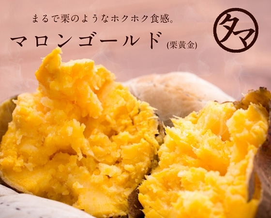 鹿児島産マロンゴールド (栗黄金)2kg
