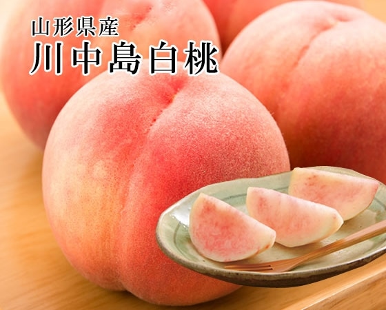 【予約販売】川中島3kg 秀品・8~12玉【出荷時期】9月上旬~9月中旬