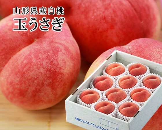 【予約販売】玉うさぎ3kg 秀品・8~12玉【出荷時期】8月中旬~8月下旬