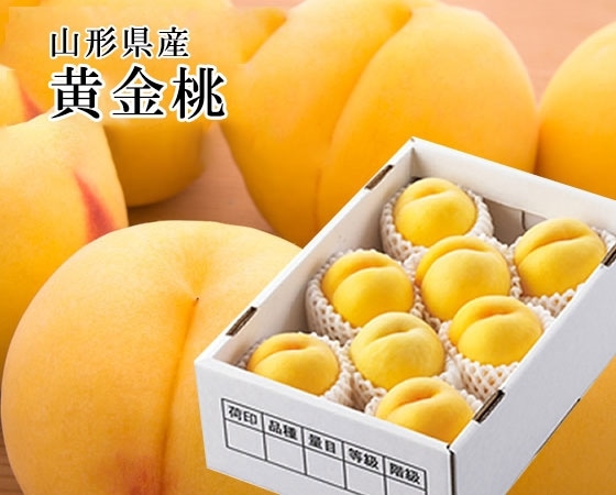【予約販売】黄金桃3kg 秀品・8~10玉【出荷時期】8月下旬~9月上旬